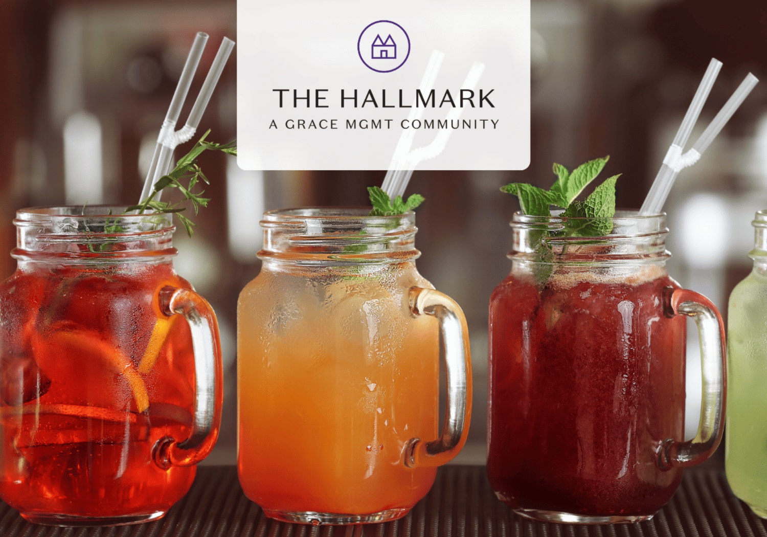 Three colorful cocktails in mason jars with citrus slices and mint, set on a bar with branding overlay in the center panel.