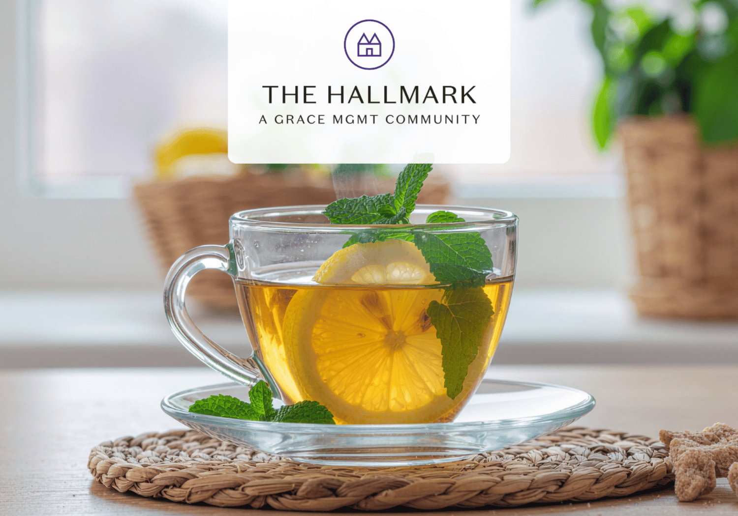 Glass cup of lemon tea with fresh mint on a woven placemat, logo reading The Hallmark at the top.