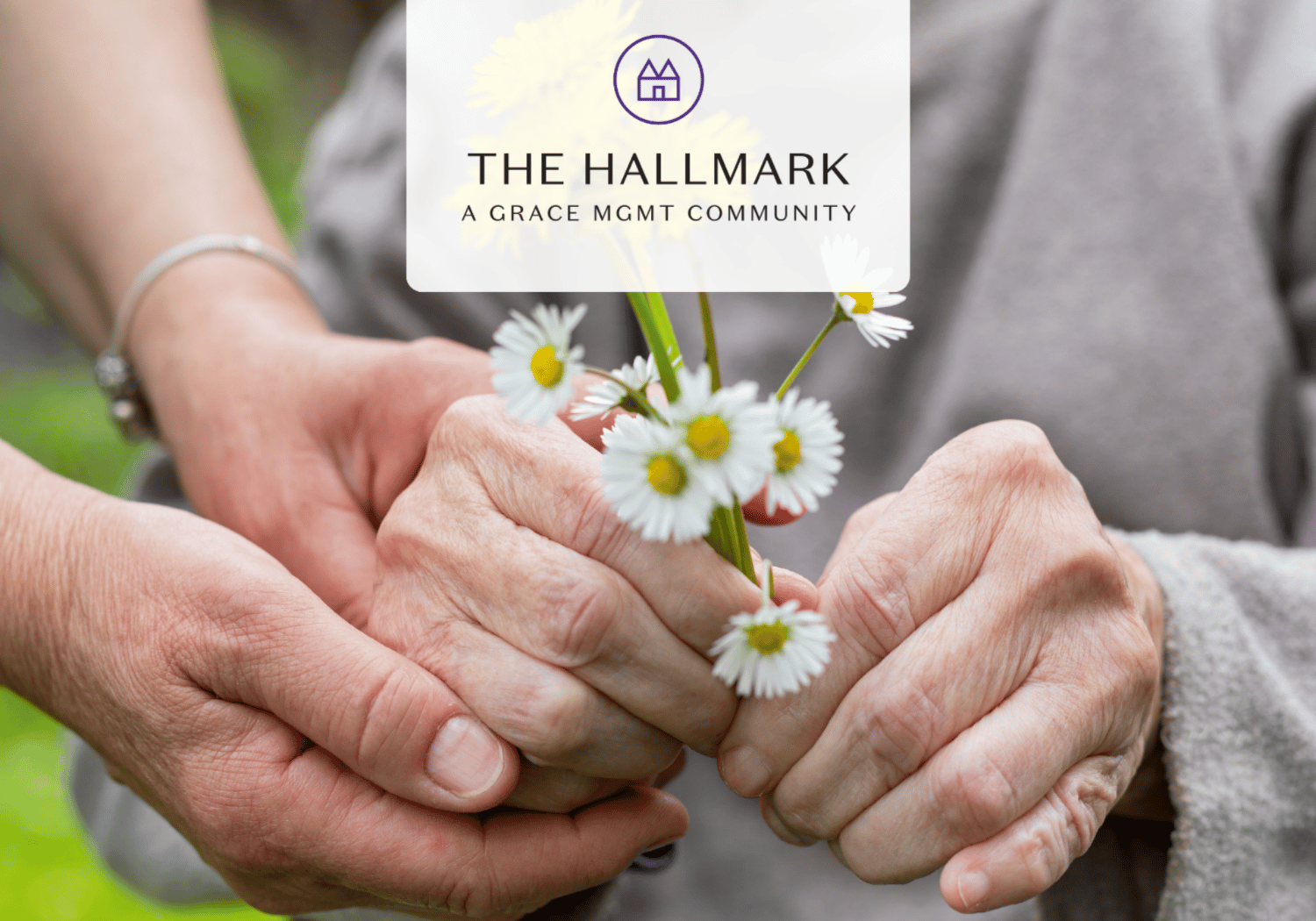 Elderly hands gently holding a small bouquet of white daisies with yellow centers, overlaid by a translucent logo reading 'The Hallmark: A Grace MGMT Community'